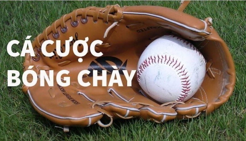 cá cược bóng chày tại CMD368
