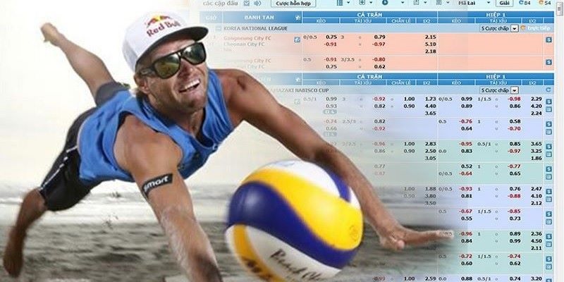 các loại kèo cá cược bóng chuyền