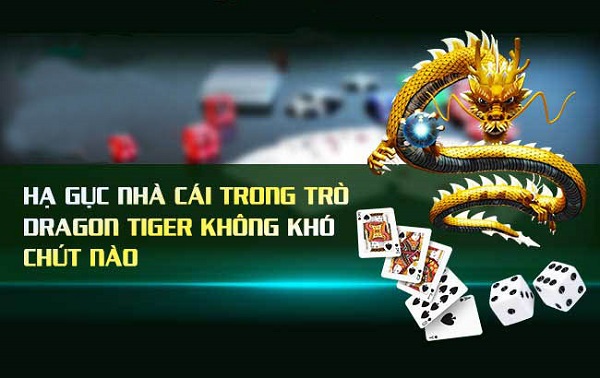 kinh nghiệm